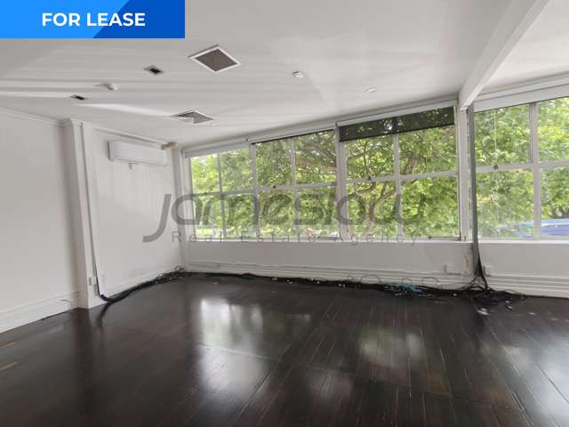 54 Ponsonby Road Grey Lynn_1