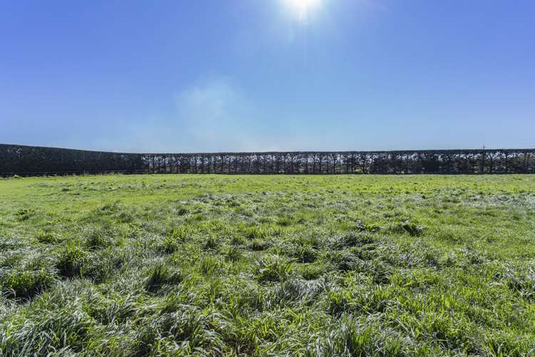 281 Moderates Road West Eyreton_18