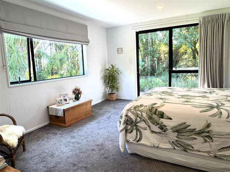 23 Pandora Avenue Camerons_9