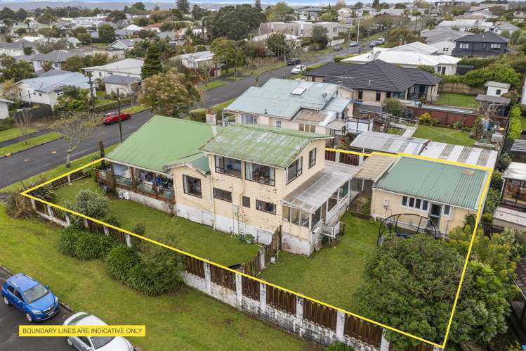 60 Miller Street Point Chevalier_5