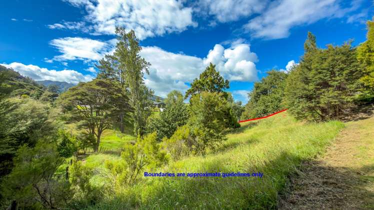 236 The Booms Avenue Thames_33