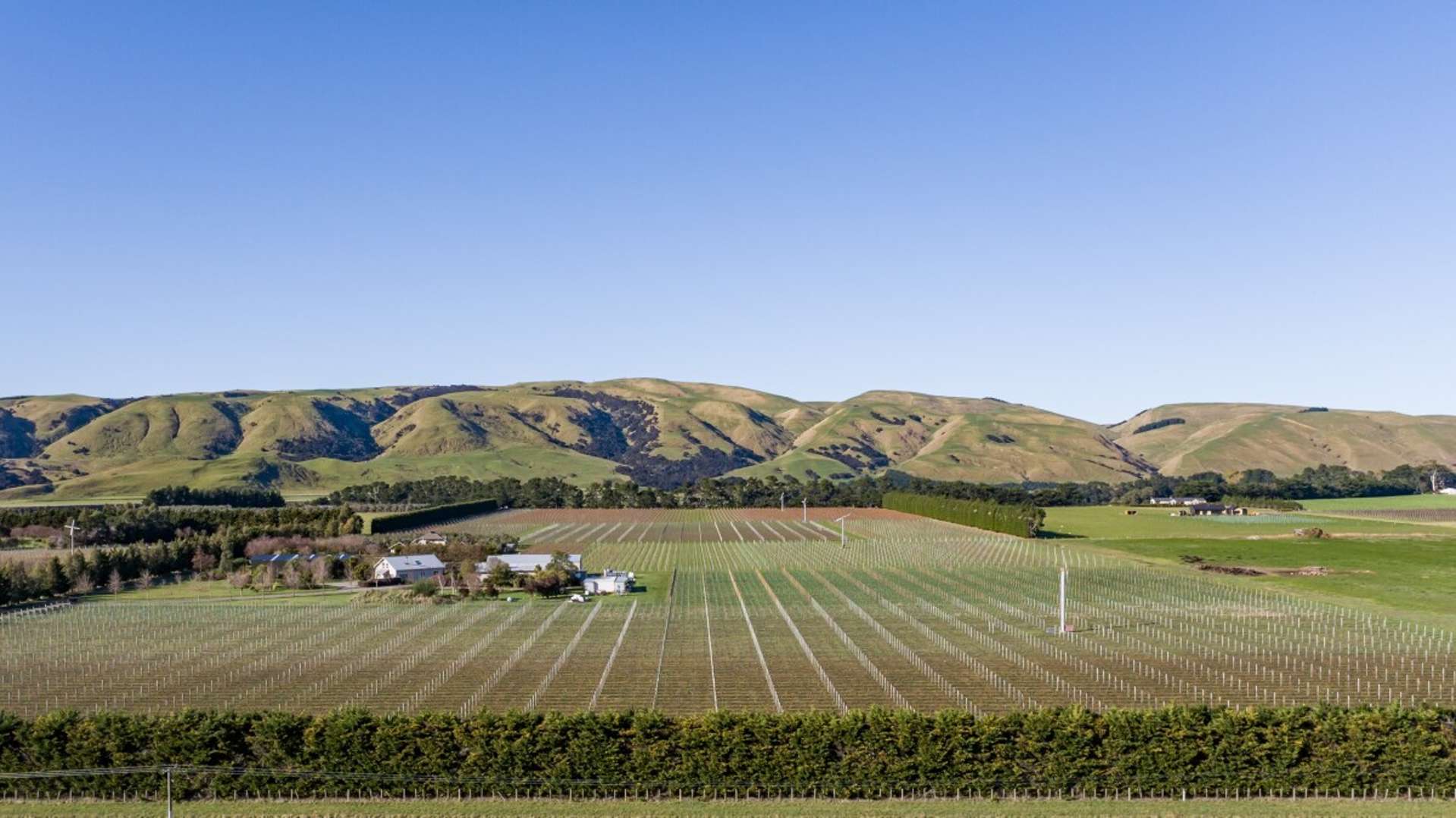 301 Te Muna Road Martinborough Rural Property For Sale OneRoof