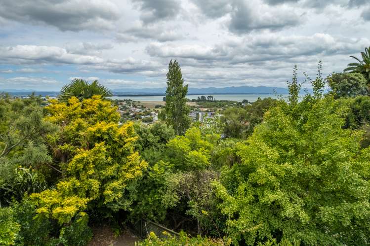 52 Stansell Avenue Tahunanui_0