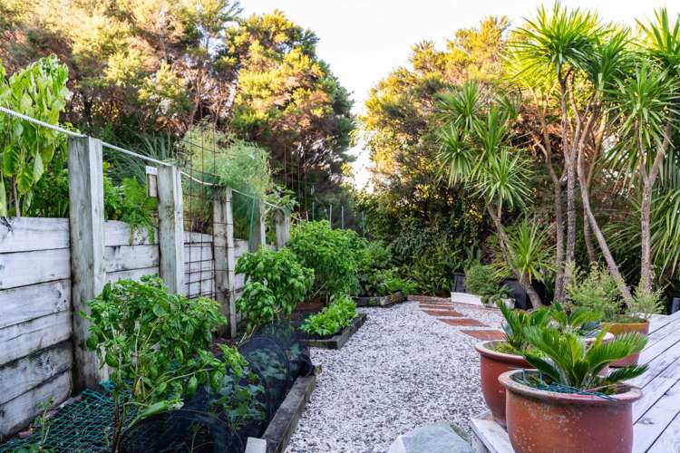 23 Wintle Street Mangawhai Heads_13