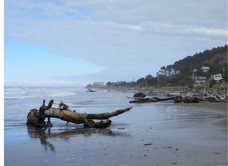 76 Akitio Esplanade Pongaroa_5