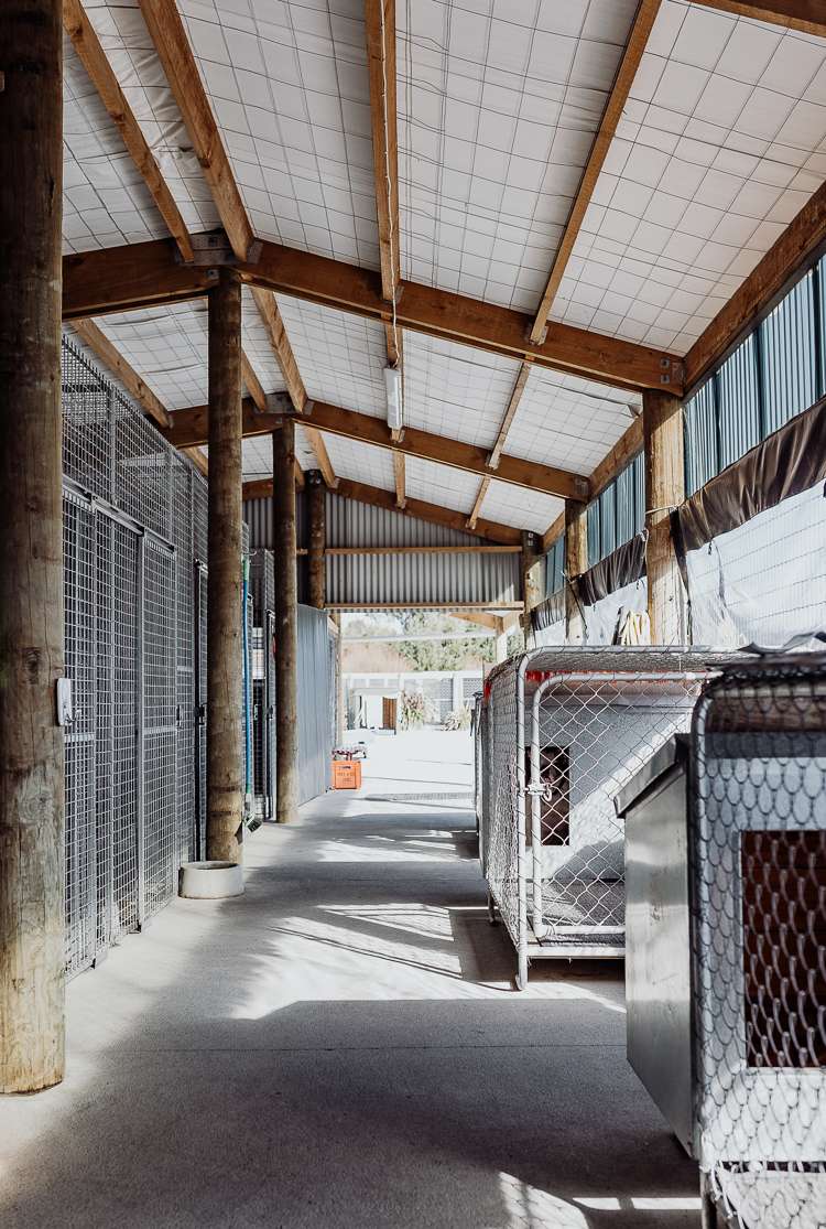 987 State Highway 6 Camerons_29