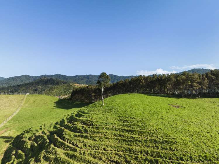 309C Wentworth Valley Road Whangamata_6