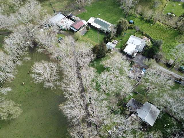 654 Inland Road Helensville_3