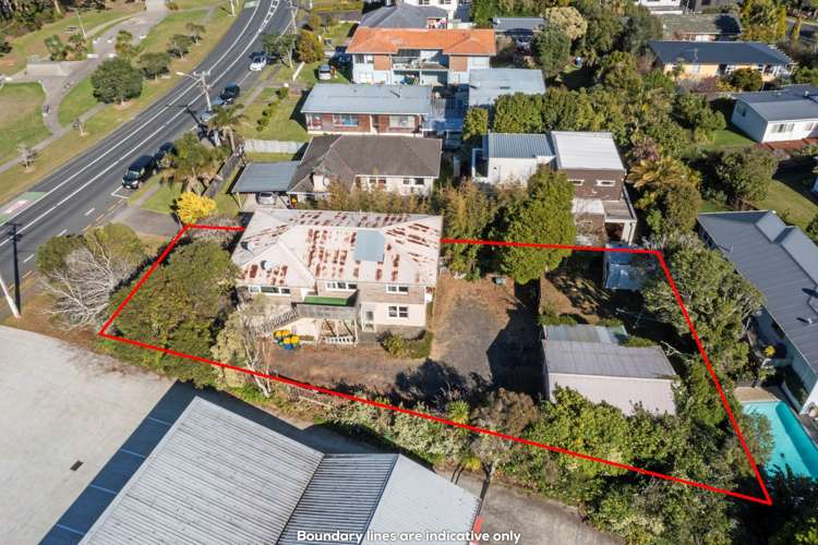 244 Forrest Hill Road Forrest Hill_22