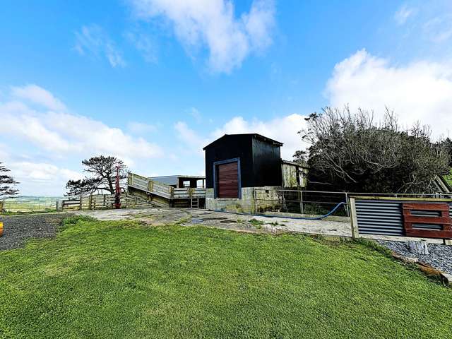 65 Proud Road Dargaville Surrounds_3