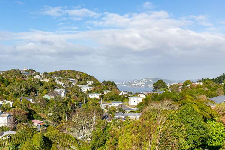 137 Ruskin Road Newlands_17