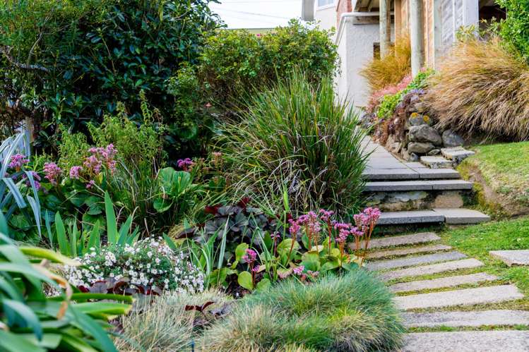 36 Norman Street Tainui_36