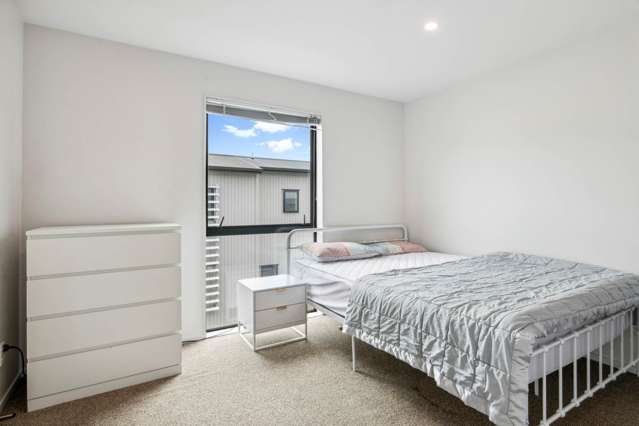 22 Akeake Lane Albany Heights_4