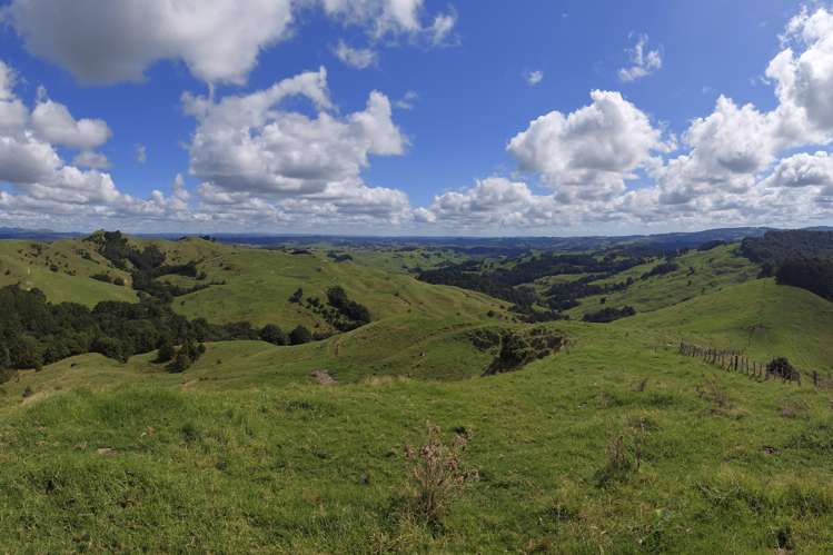 632 Marlow Road Maromaku_24