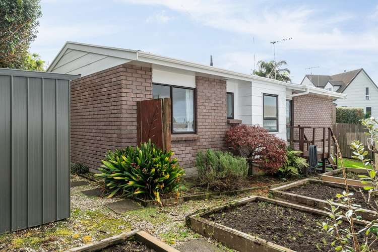 54A Heron Avenue East Matua_10