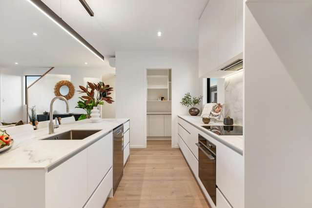 13e Walmer Road Point Chevalier_2