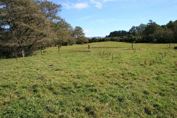 185 Bristol Road Pareora_14