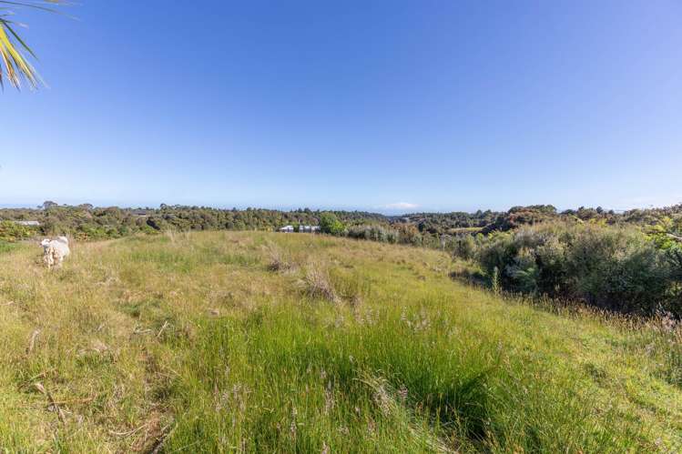 3 Middle Paddock Road Hokitika_11