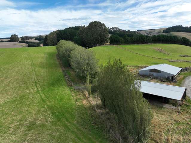 Falla Burn Road, Manuka Gorge Milton_4