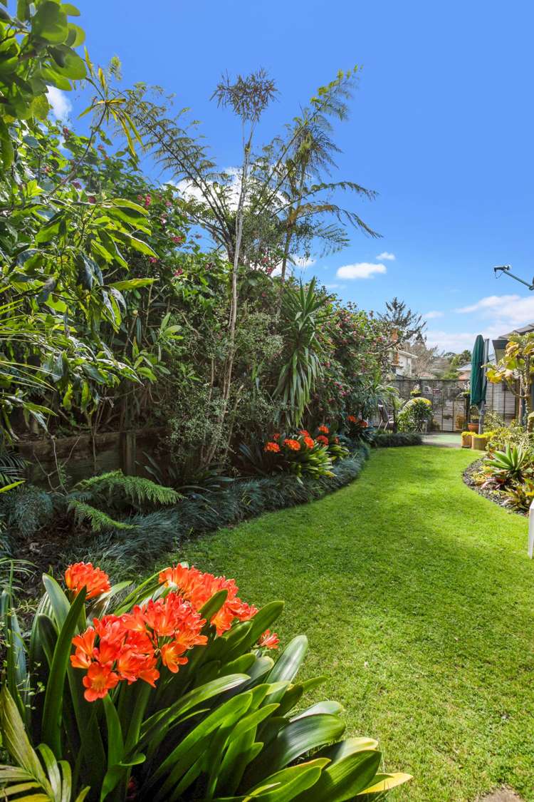 10a Vinter Terrace Mount Albert_7