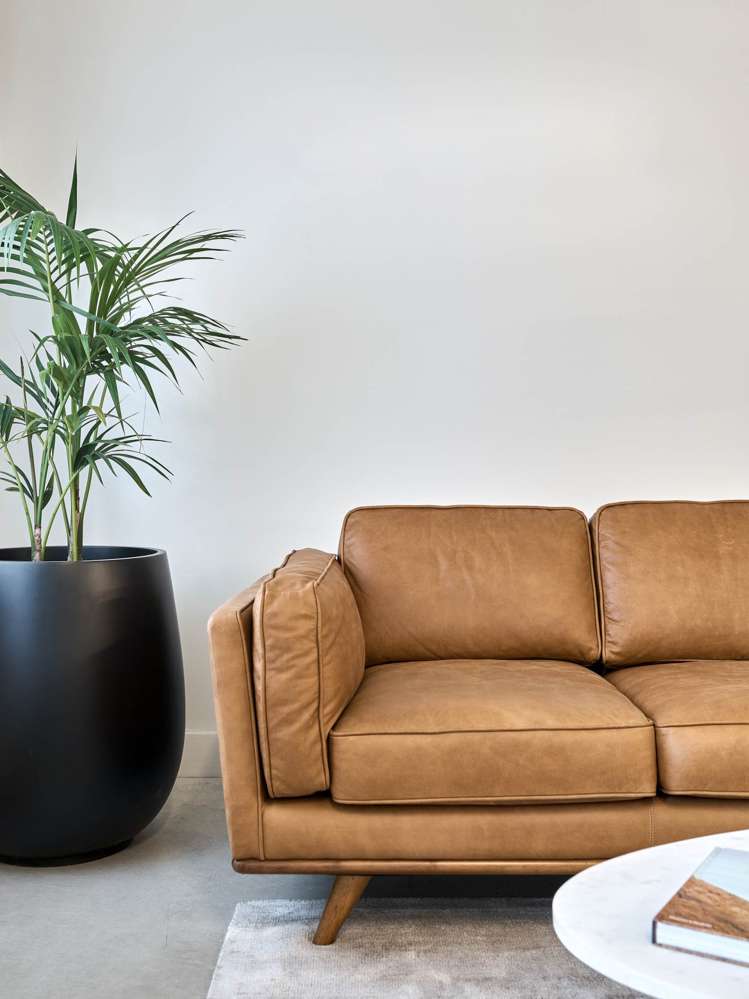 1 Blake Street Ponsonby_3