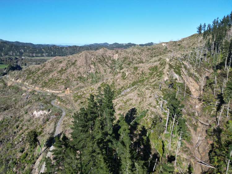Cnr Whanganui River Road and Otunui South Road Taumarunui_10
