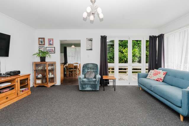 70 Livingstone Avenue Nawton_1