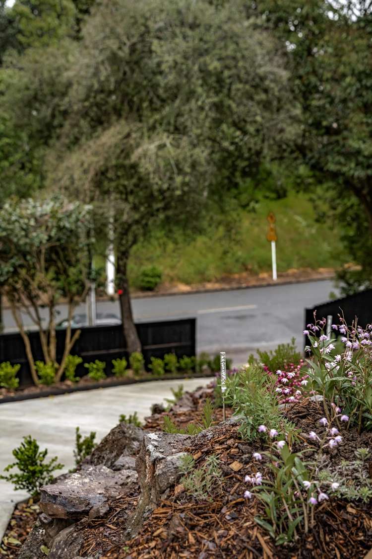 7 Michaels Avenue Ellerslie_26