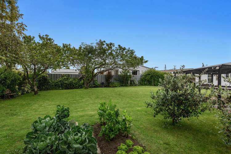 86 Main Street Edgecumbe_21