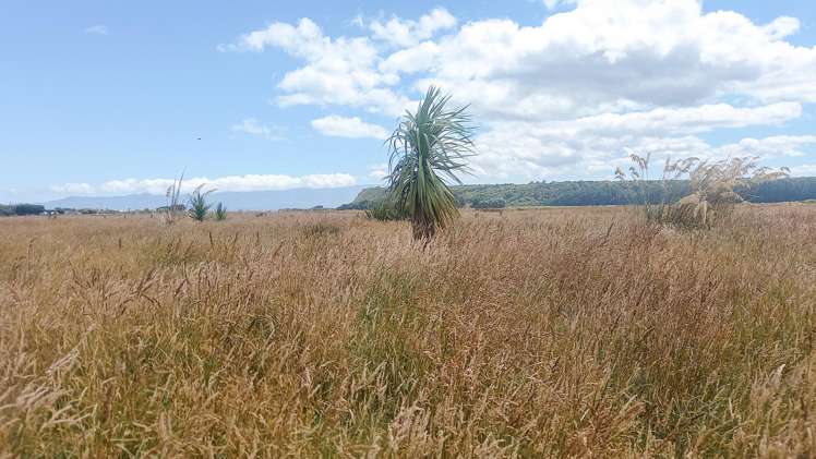 858 Papatotara Road Papatotara_14