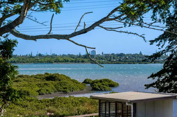 2 Aurea Avenue Pakuranga_26