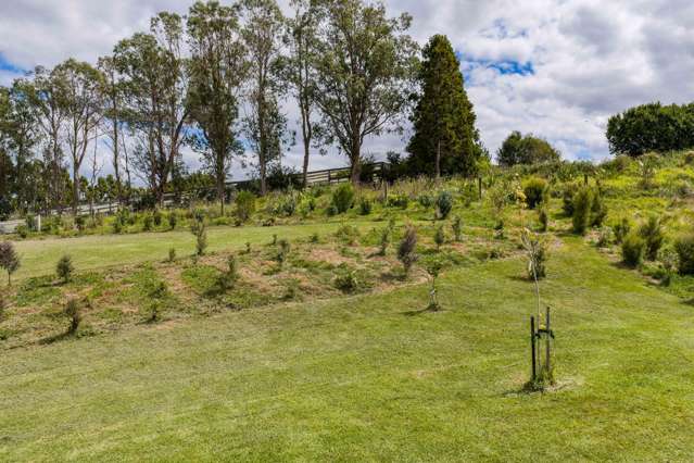 59D Vineyard Lane Mangawhai_4