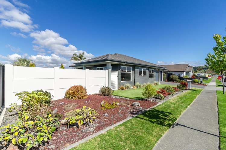 41 Wharerangi Road Greenmeadows_18