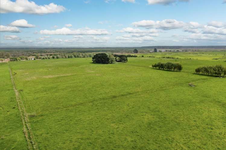 293 Beamish Road Bulls_15