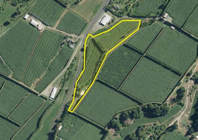 547 Te Matai Road Te Puke_2