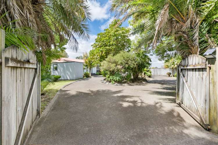 2312 State Highway 16 Helensville_23