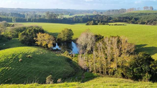 Prime Opportunity: Kerikeri Landbank Development