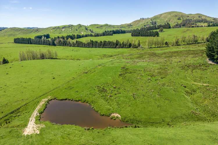 21 Carson Road Ongaonga_12