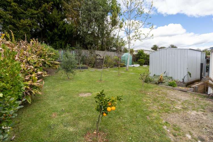 15 Boswell Street Kawakawa_16