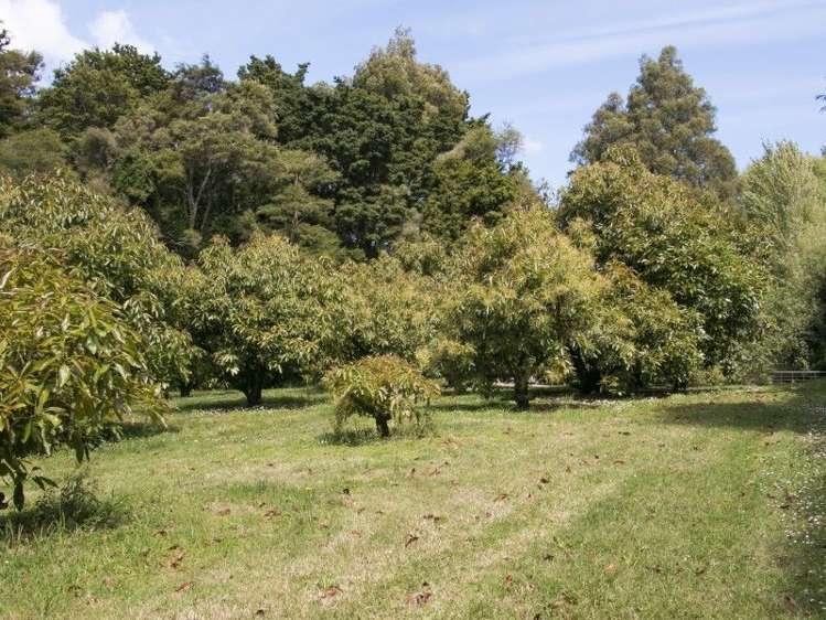 58d Rawaka Drive Katikati_20