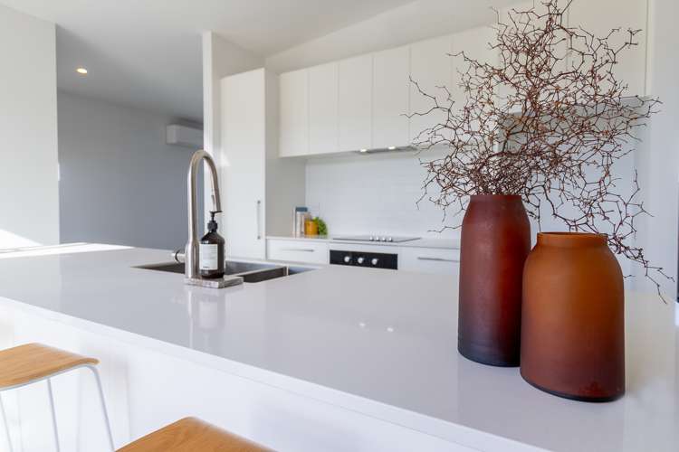 24 One Haruru Street Cambridge_5