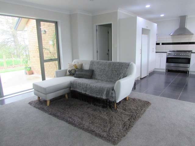 64 Ritchie Street Te Aroha_2