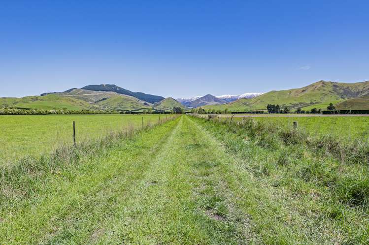 Wyndale Road Springfield_7