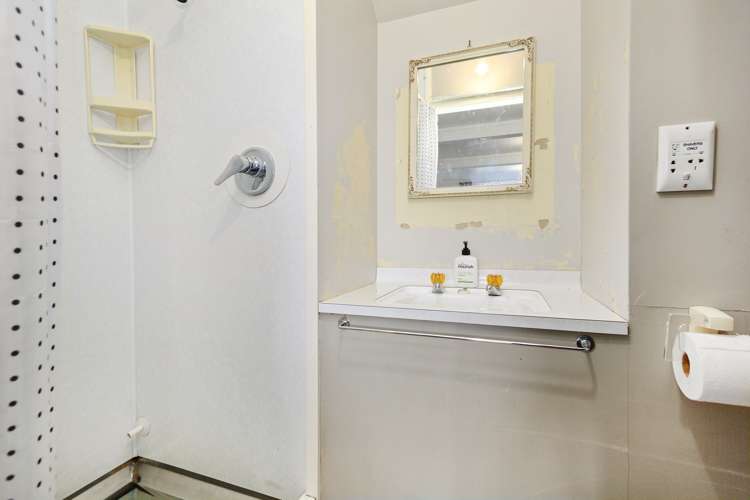 16 Mascot Street Tawa_19