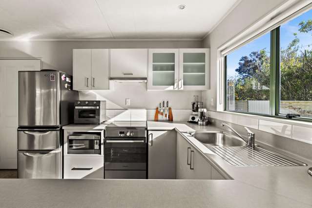 19a Logan Avenue Marewa_4