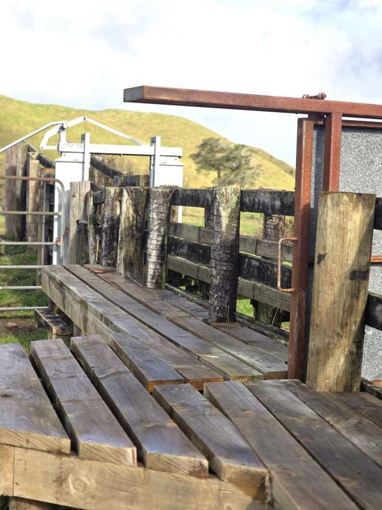 Mangaraupiu Road Eketahuna_16