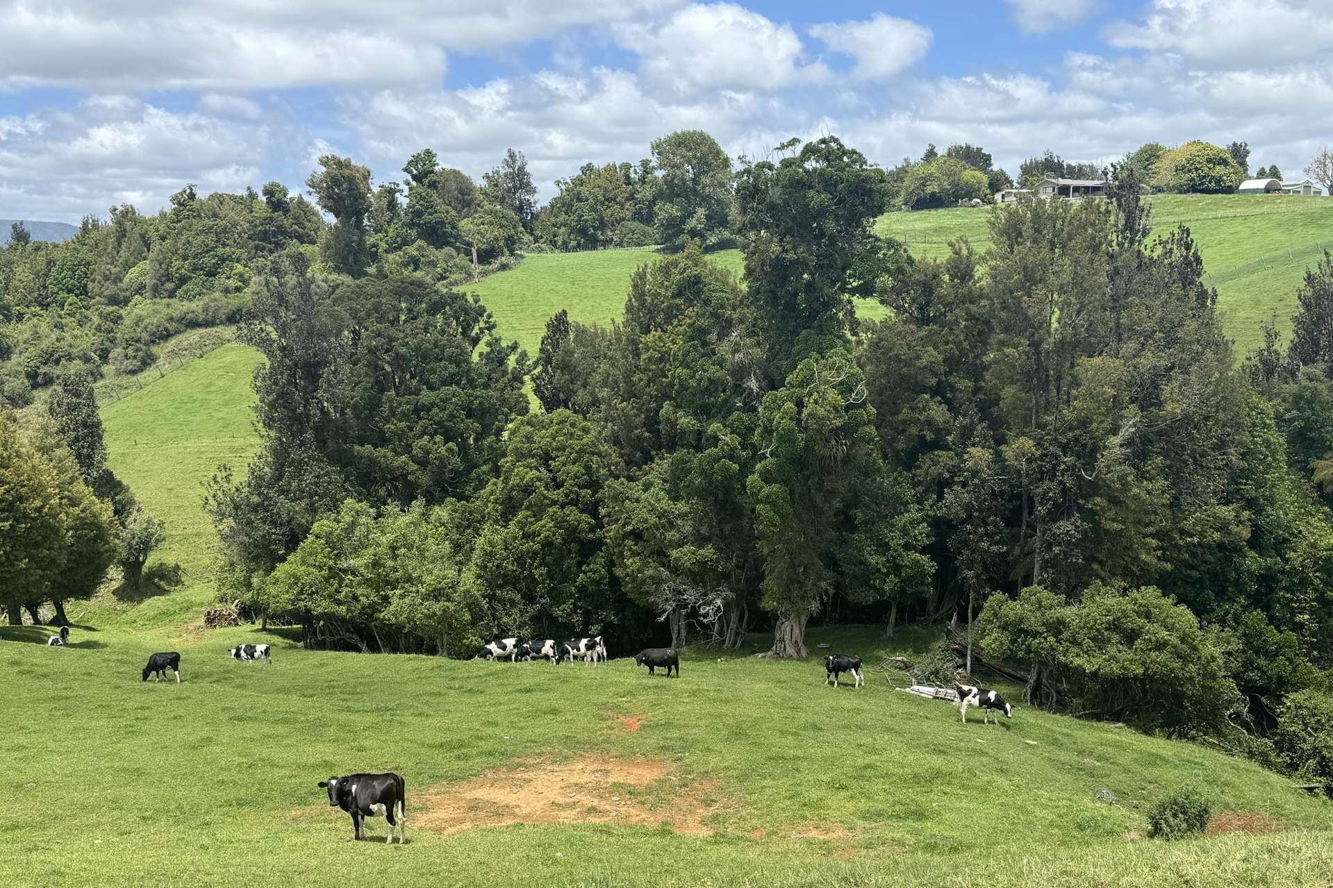 565 Barber Road Otewa_0