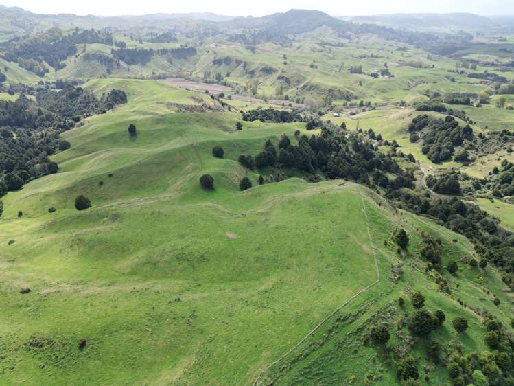 Paraketu Road Waimiha_7