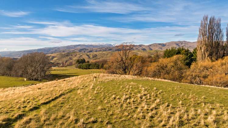 118A Jocelyn Road Bannockburn_15