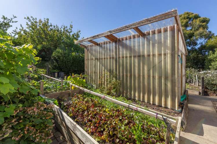 359 Hurunui Mouth Road Domett_23